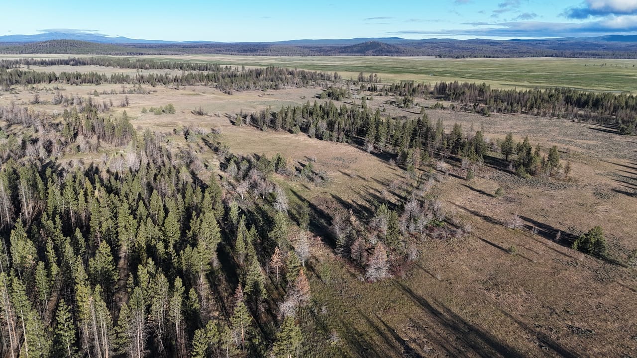 Listing Image 80