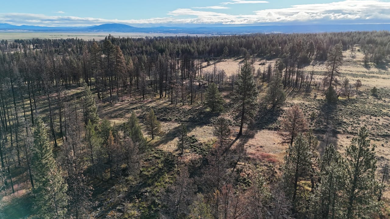 Listing Image 49