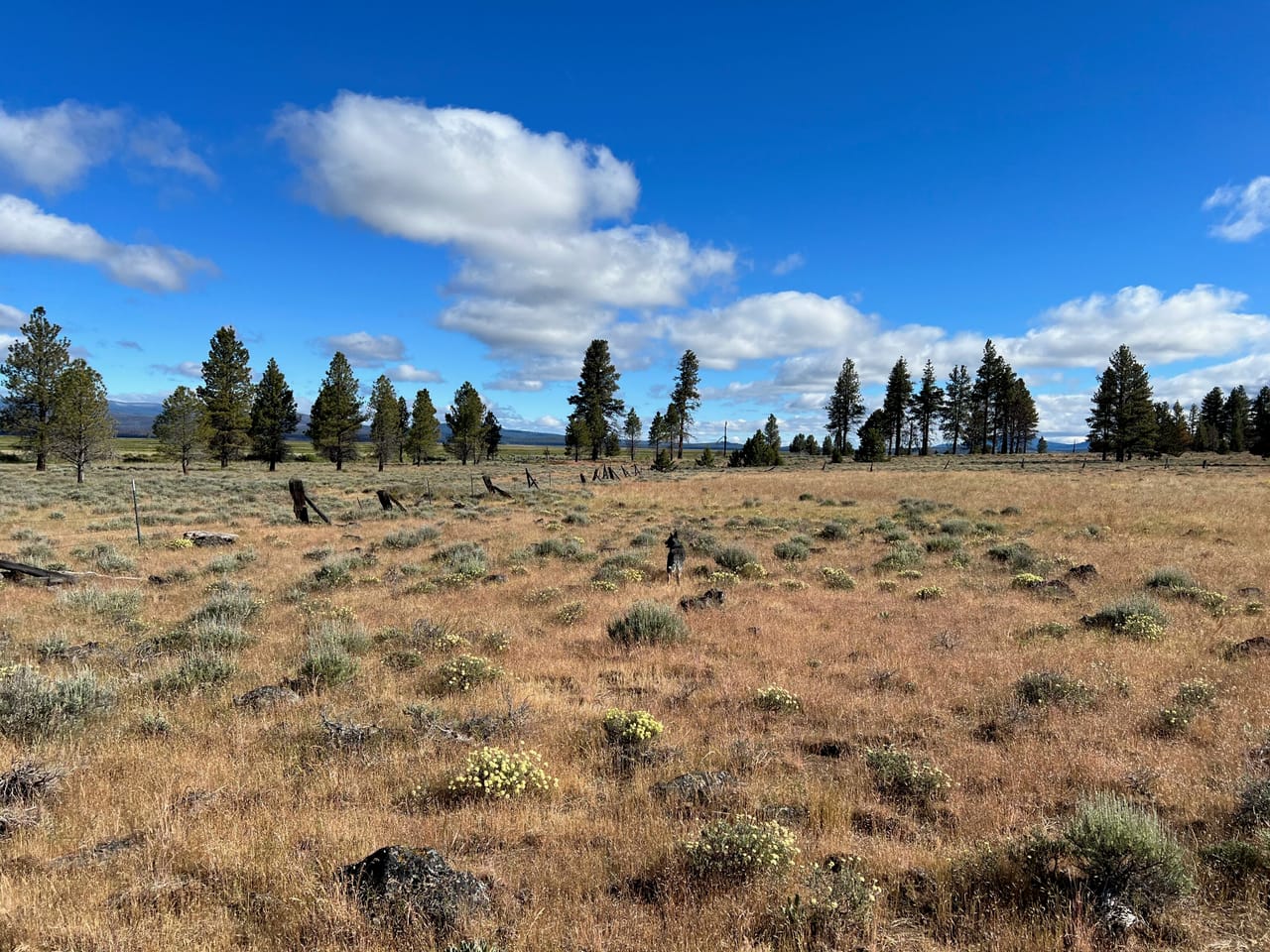 Listing Image 65