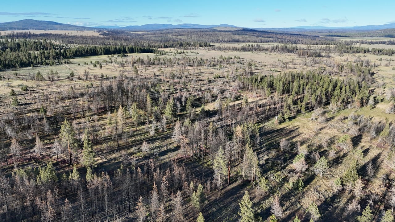 Listing Image 18