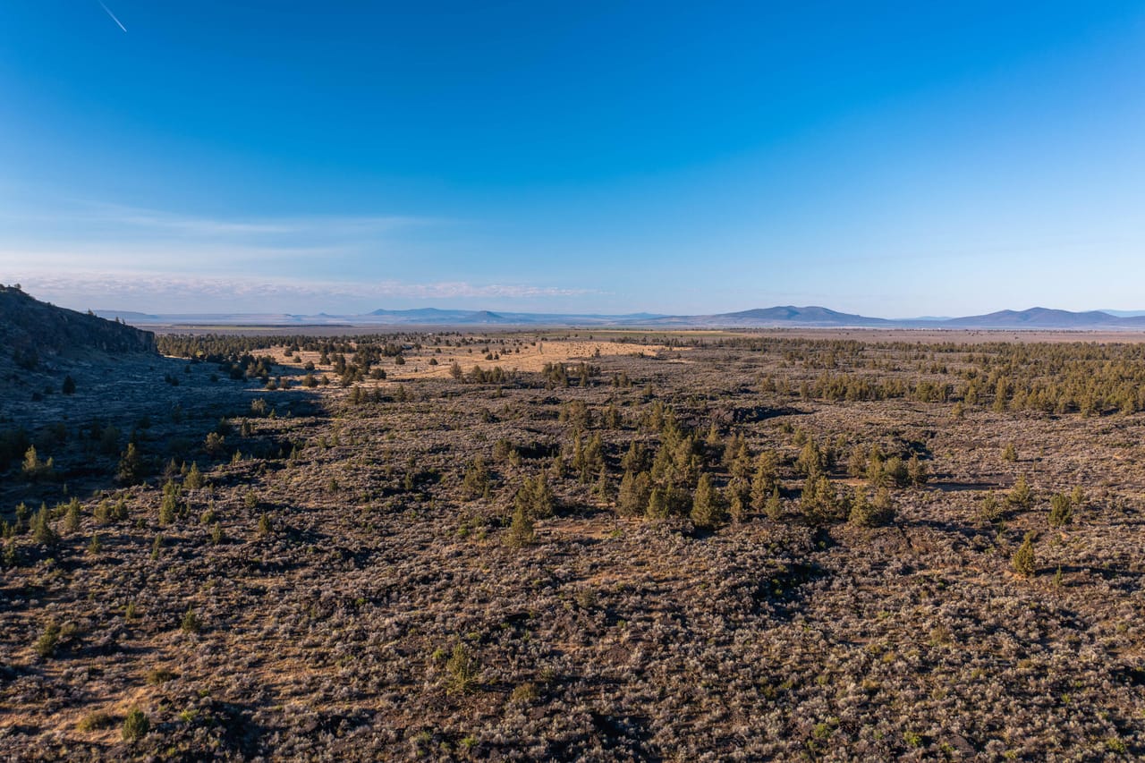 Listing Image 60
