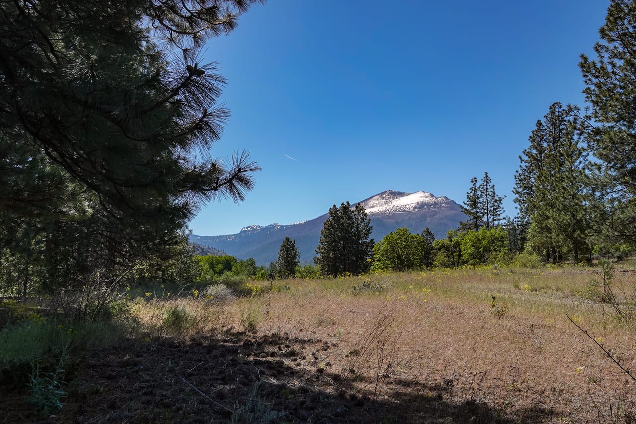 Listing Image 80