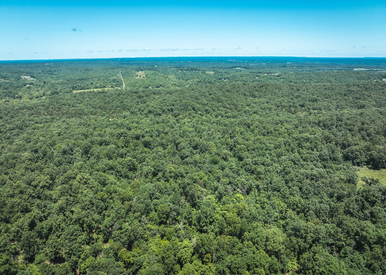 Listing Image 17