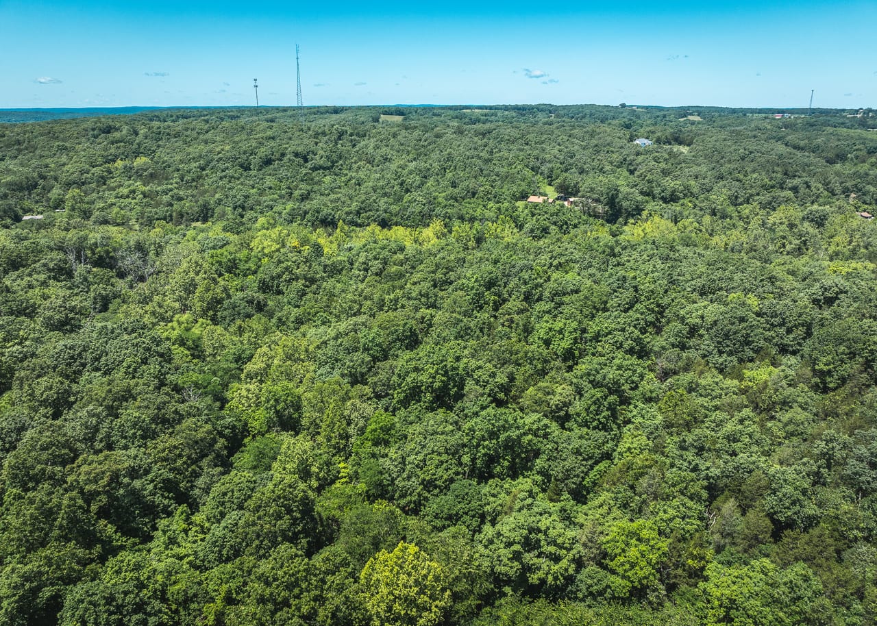 Listing Image 21