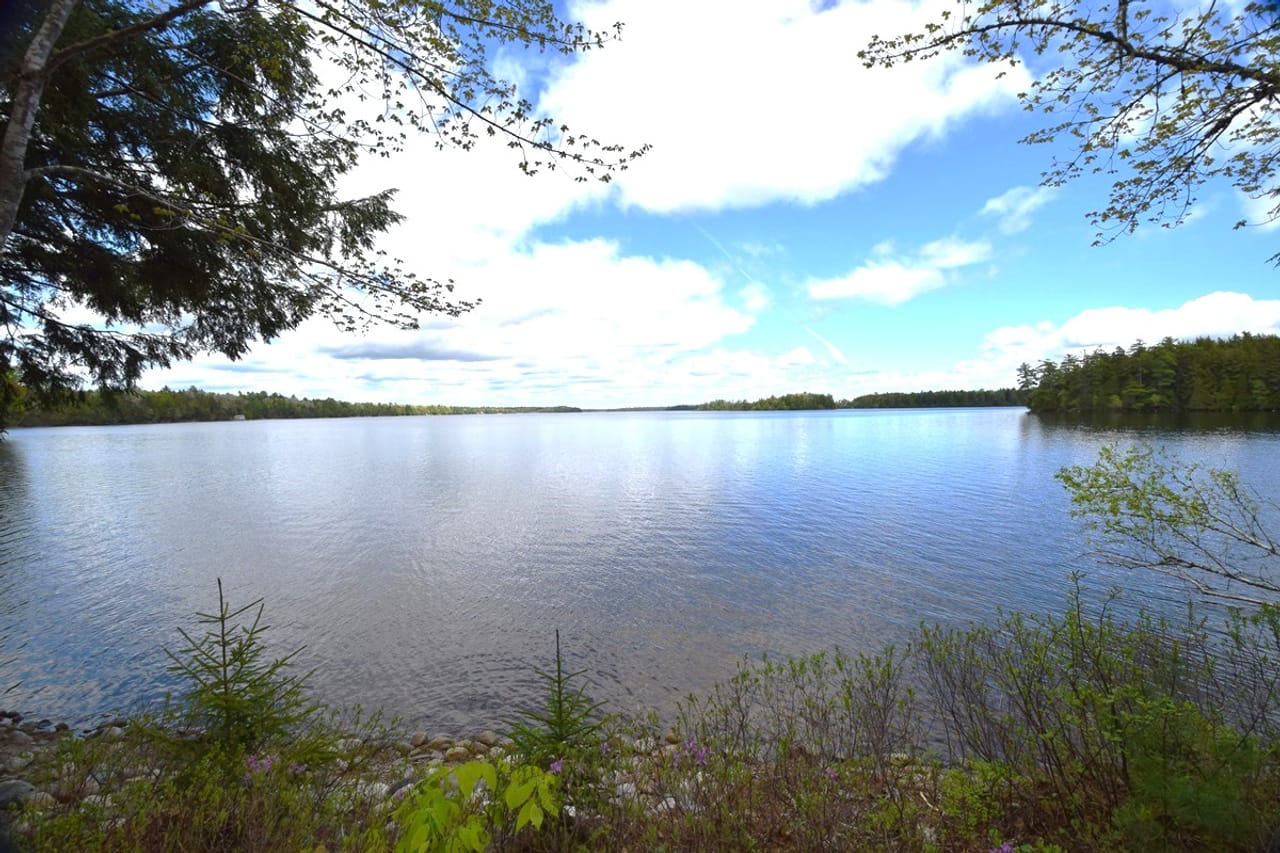 Listing Image 75