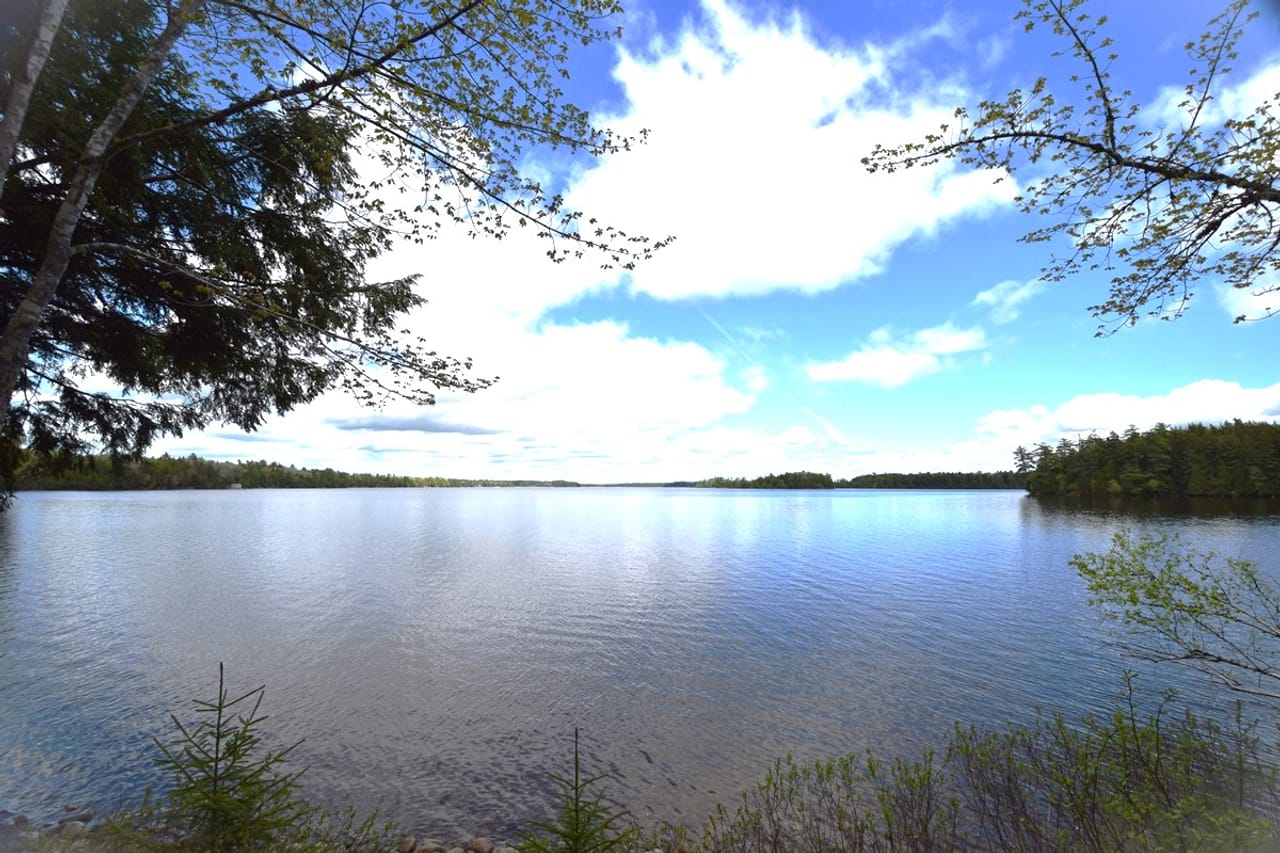 Listing Image 78