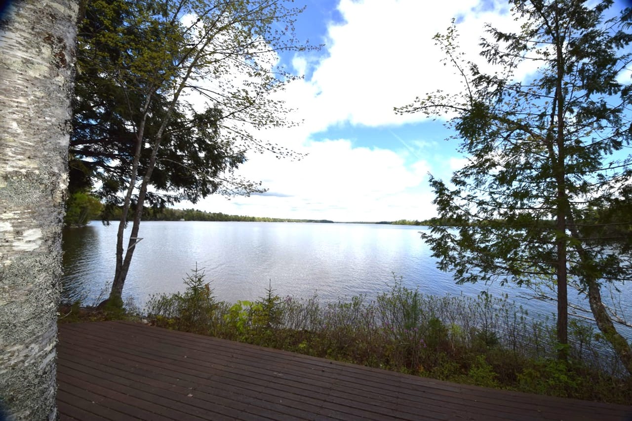 Listing Image 79