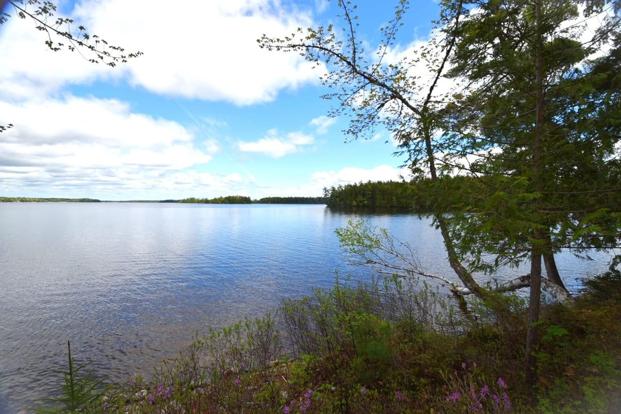 Listing Image 49