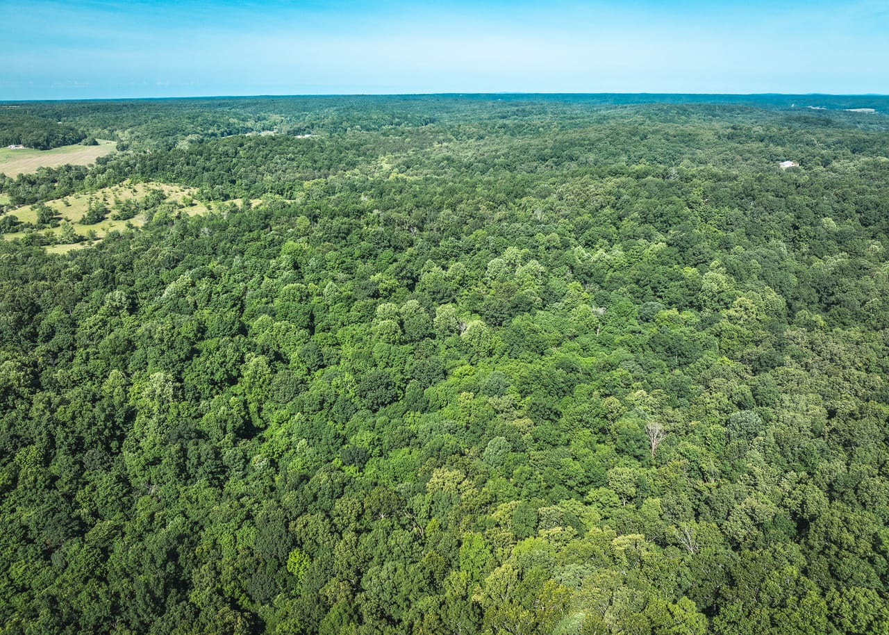 Listing Image 16