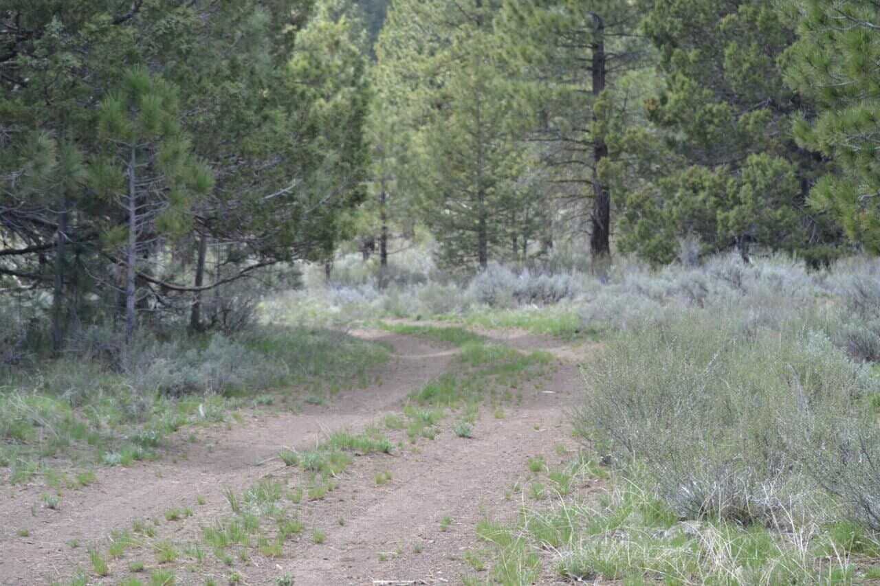 Listing Image 55