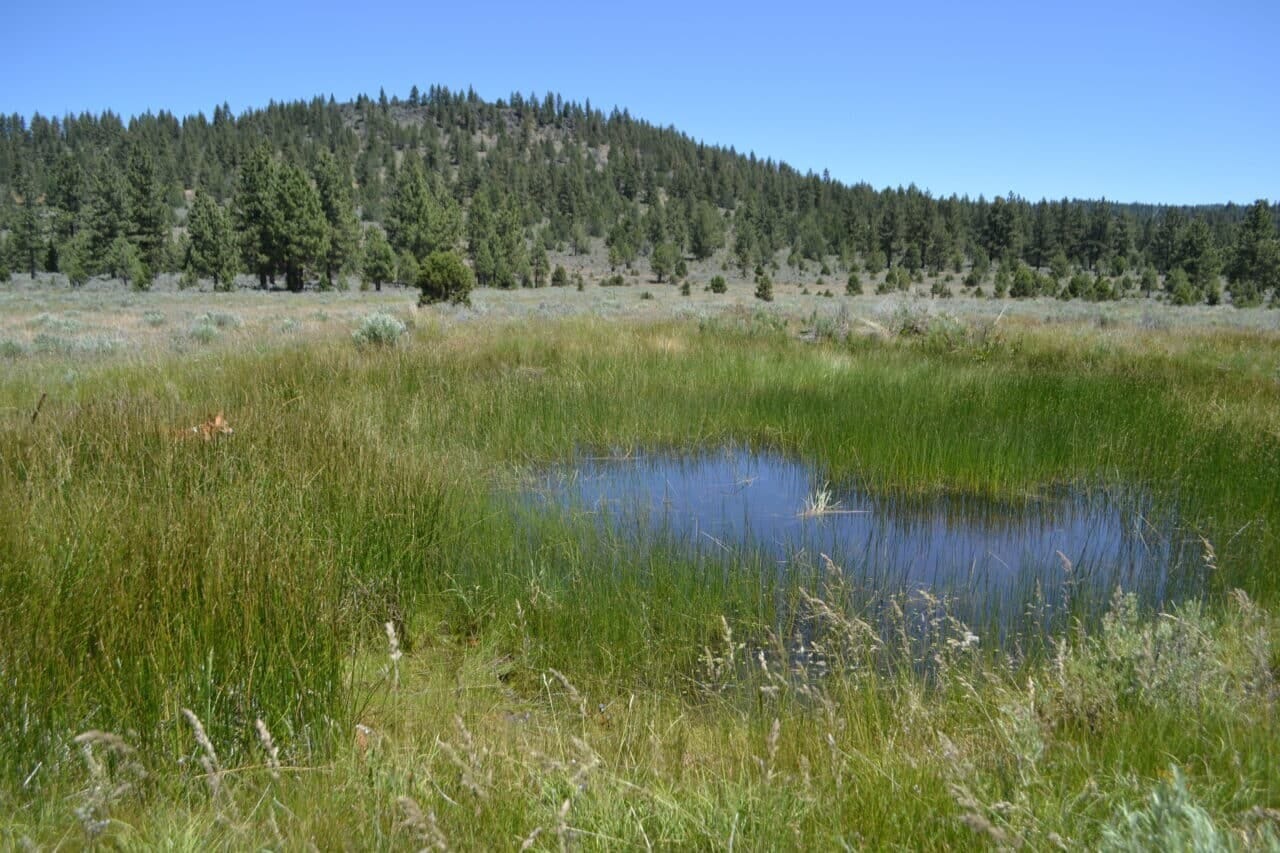 Listing Image 61