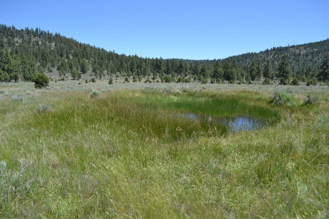 Listing Image 63