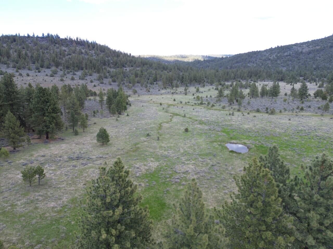 Listing Image 24