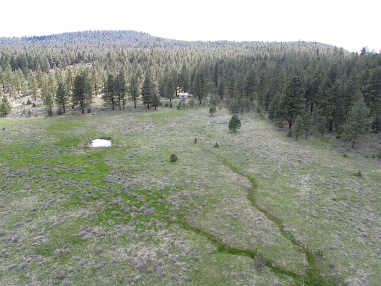 Listing Image 27