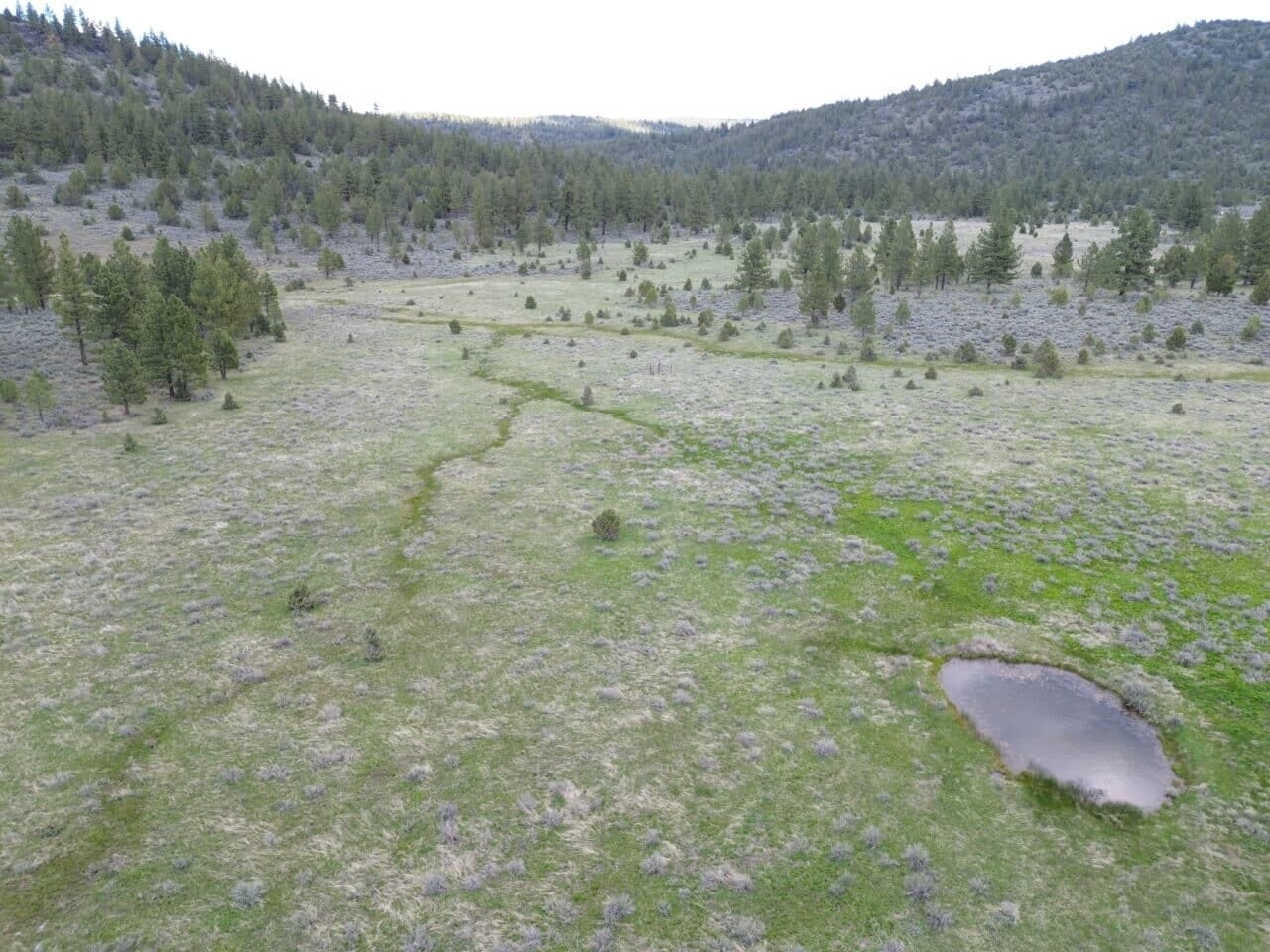 Listing Image 33