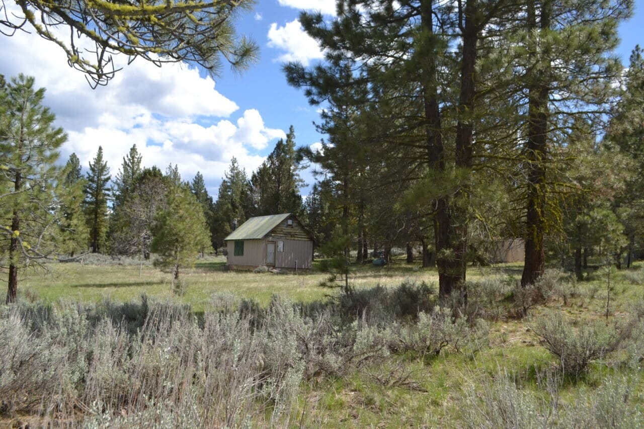 Listing Image 34