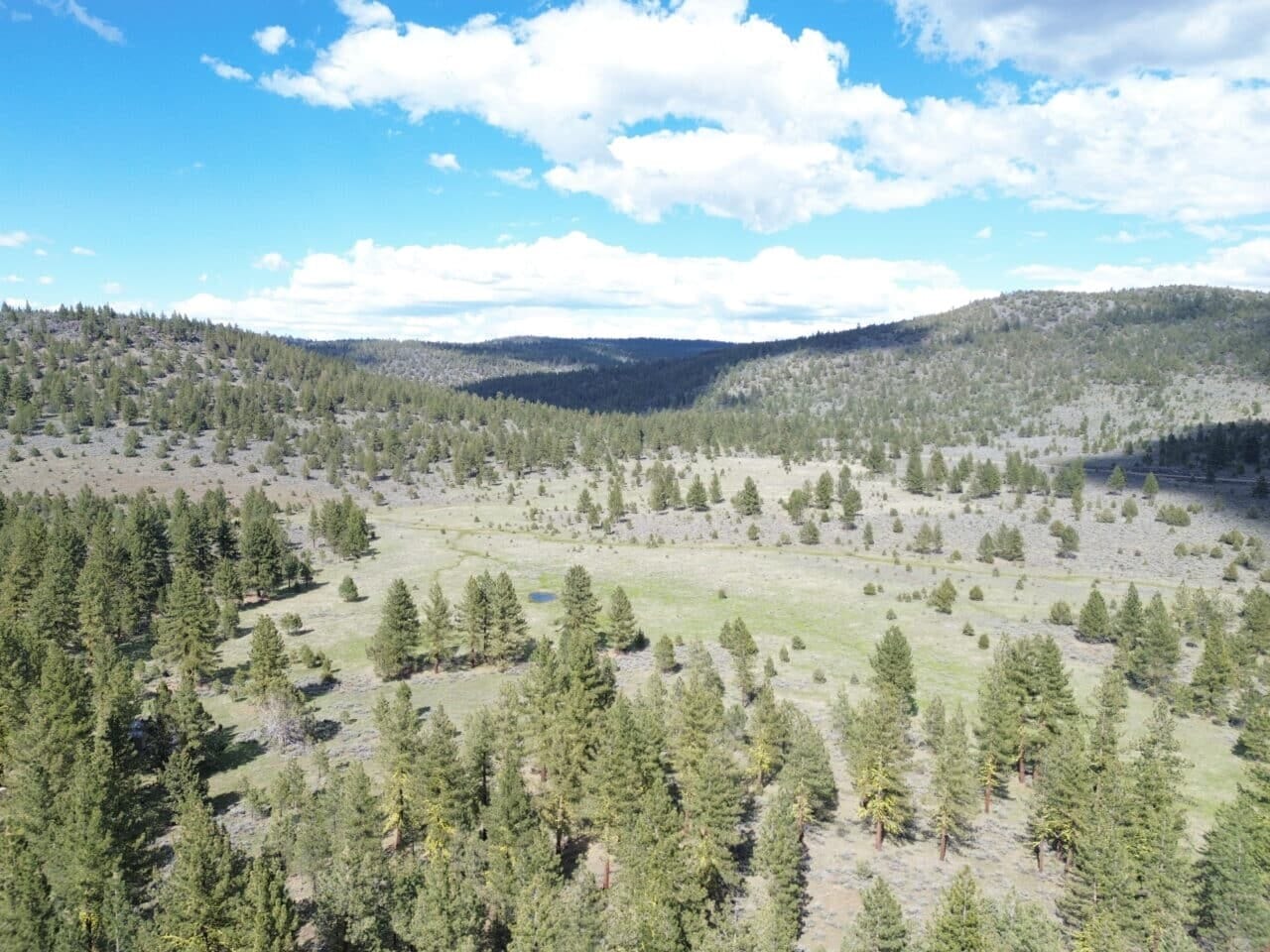 Listing Image 35