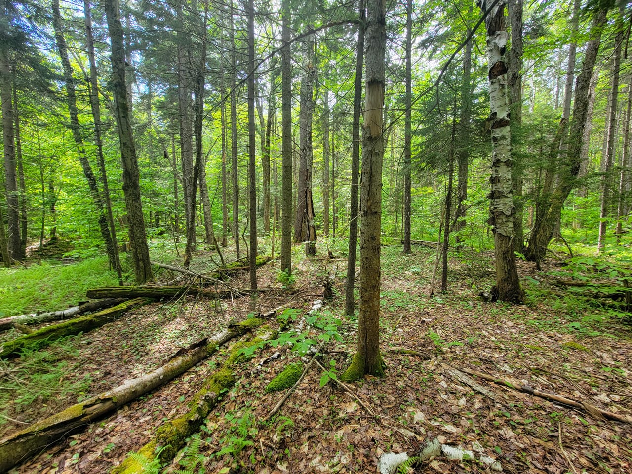 Listing Image 37