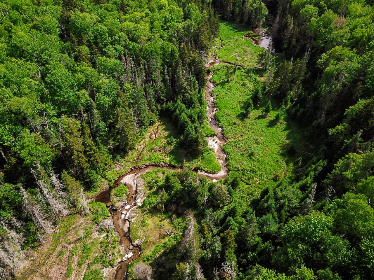 Listing Image 65