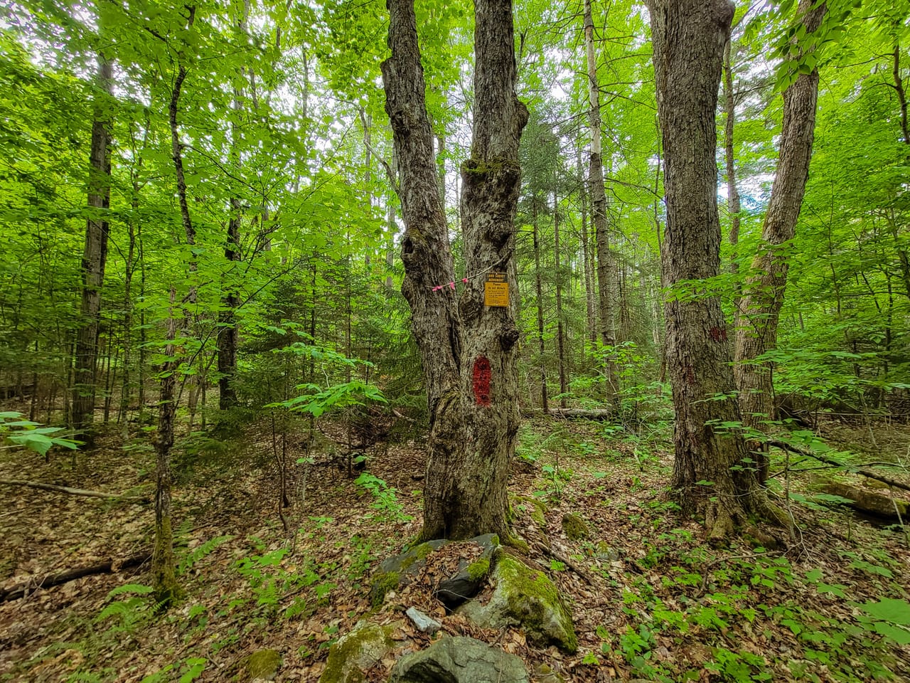 Listing Image 72