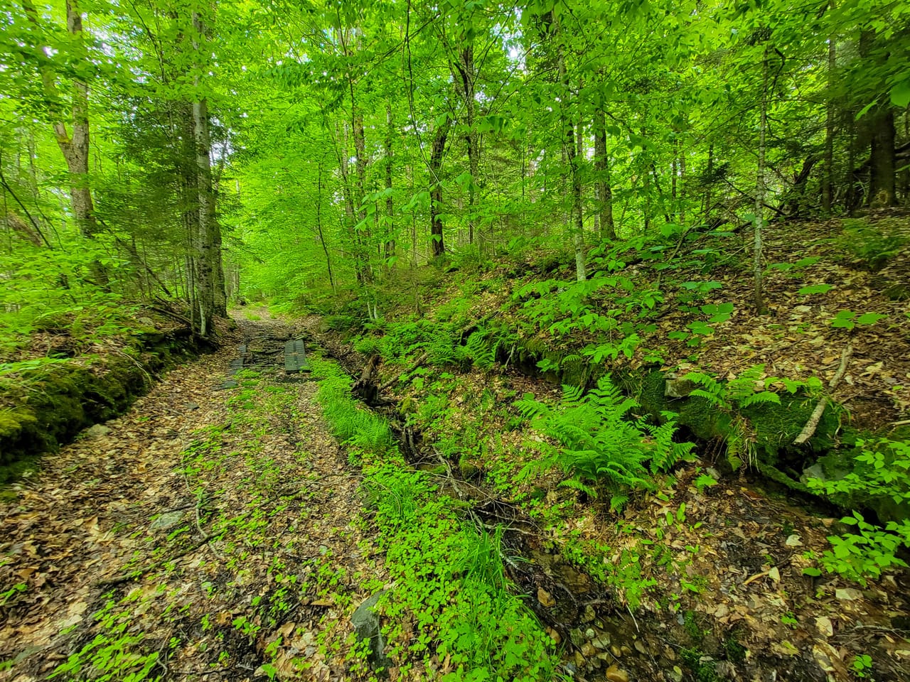 Listing Image 53