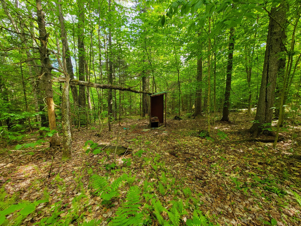 Listing Image 57