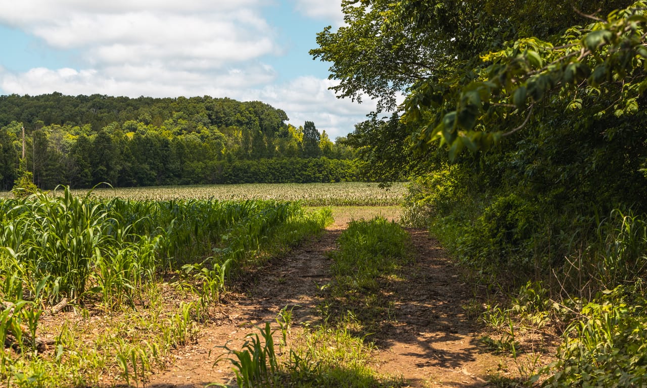 Richland Rail Road Farm