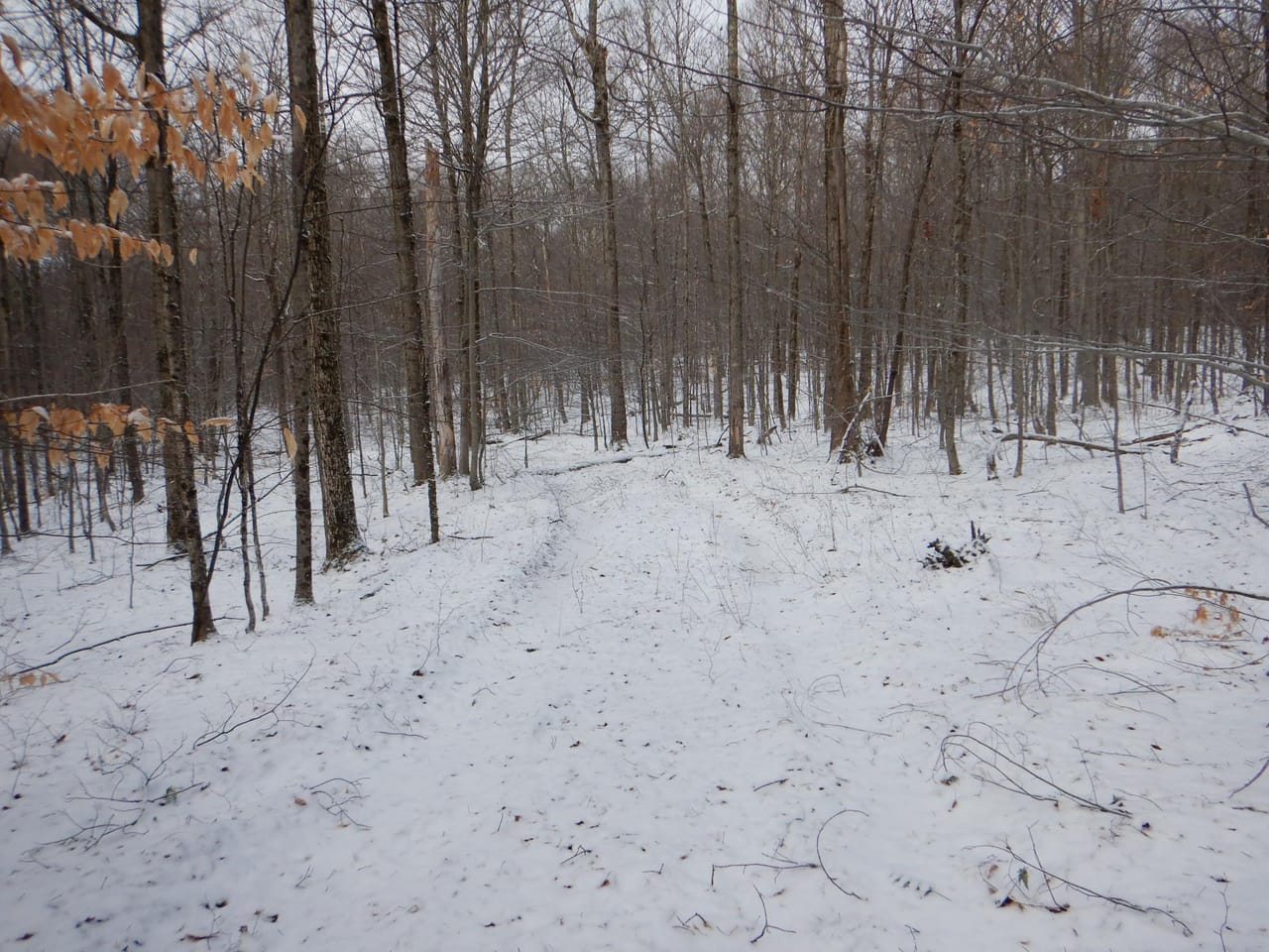 Listing Image 78