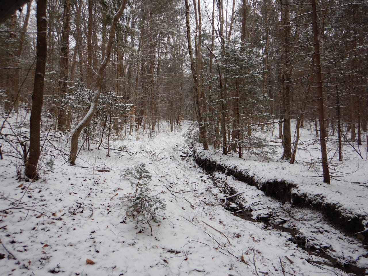 Listing Image 6