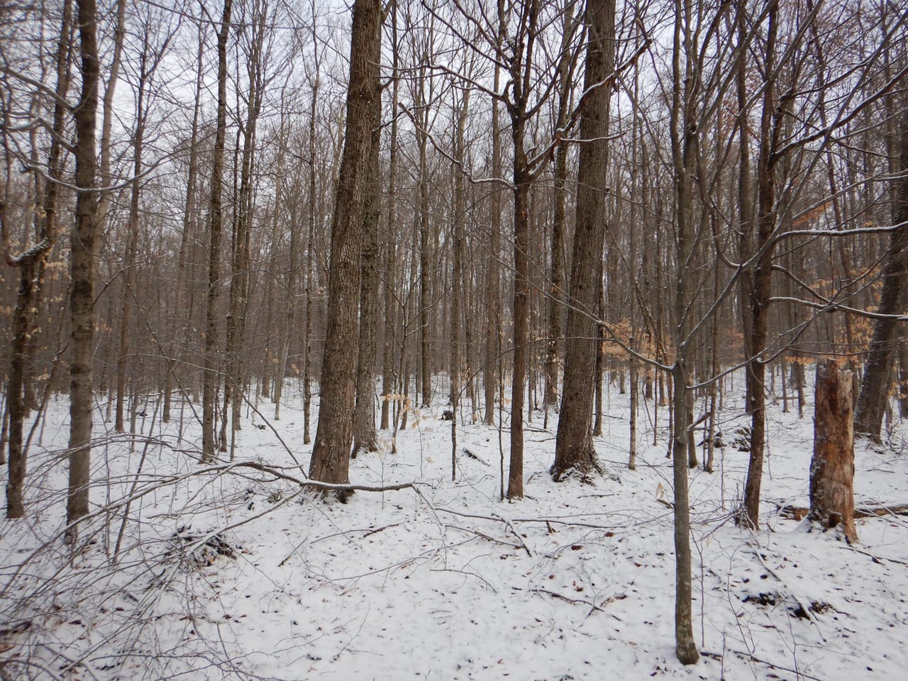 Listing Image 33