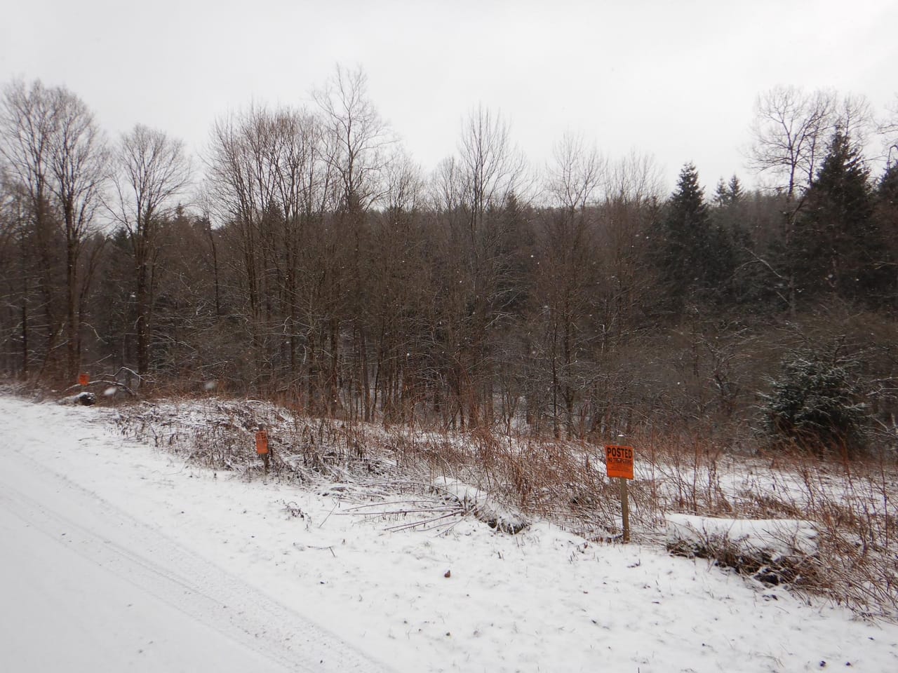 Listing Image 37