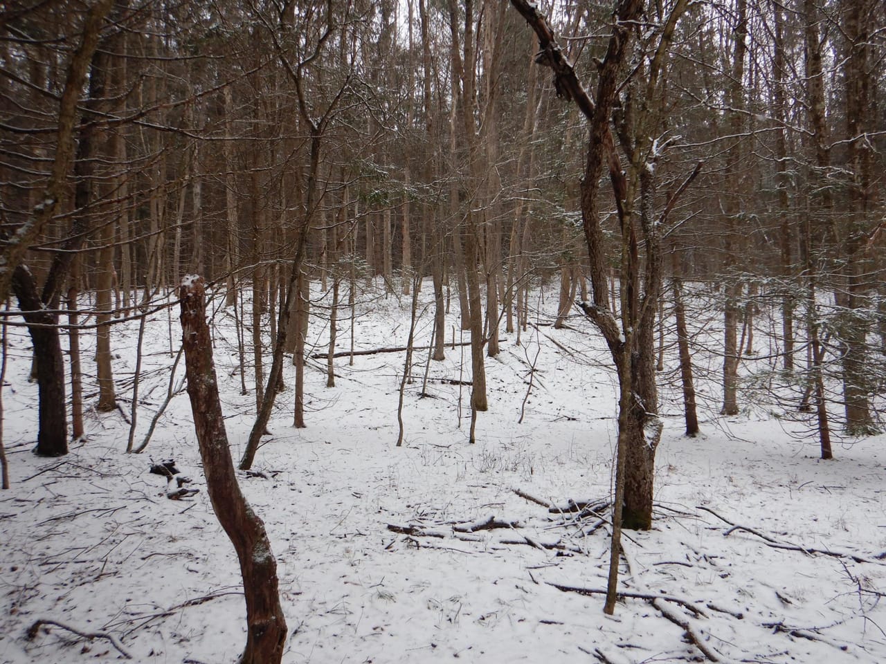 Listing Image 56