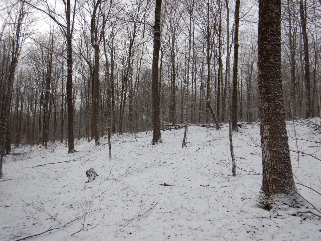 Listing Image 65