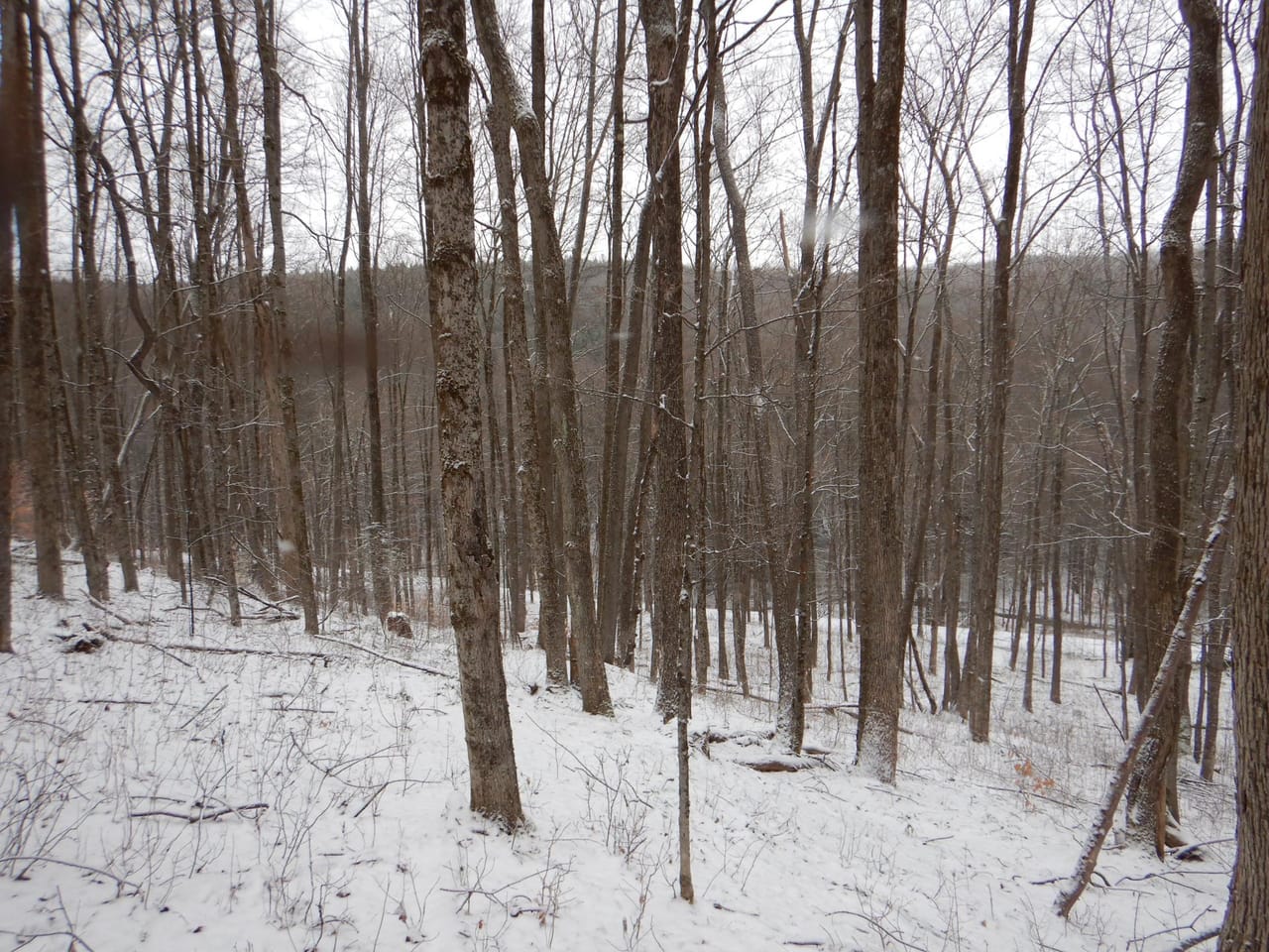 Listing Image 67