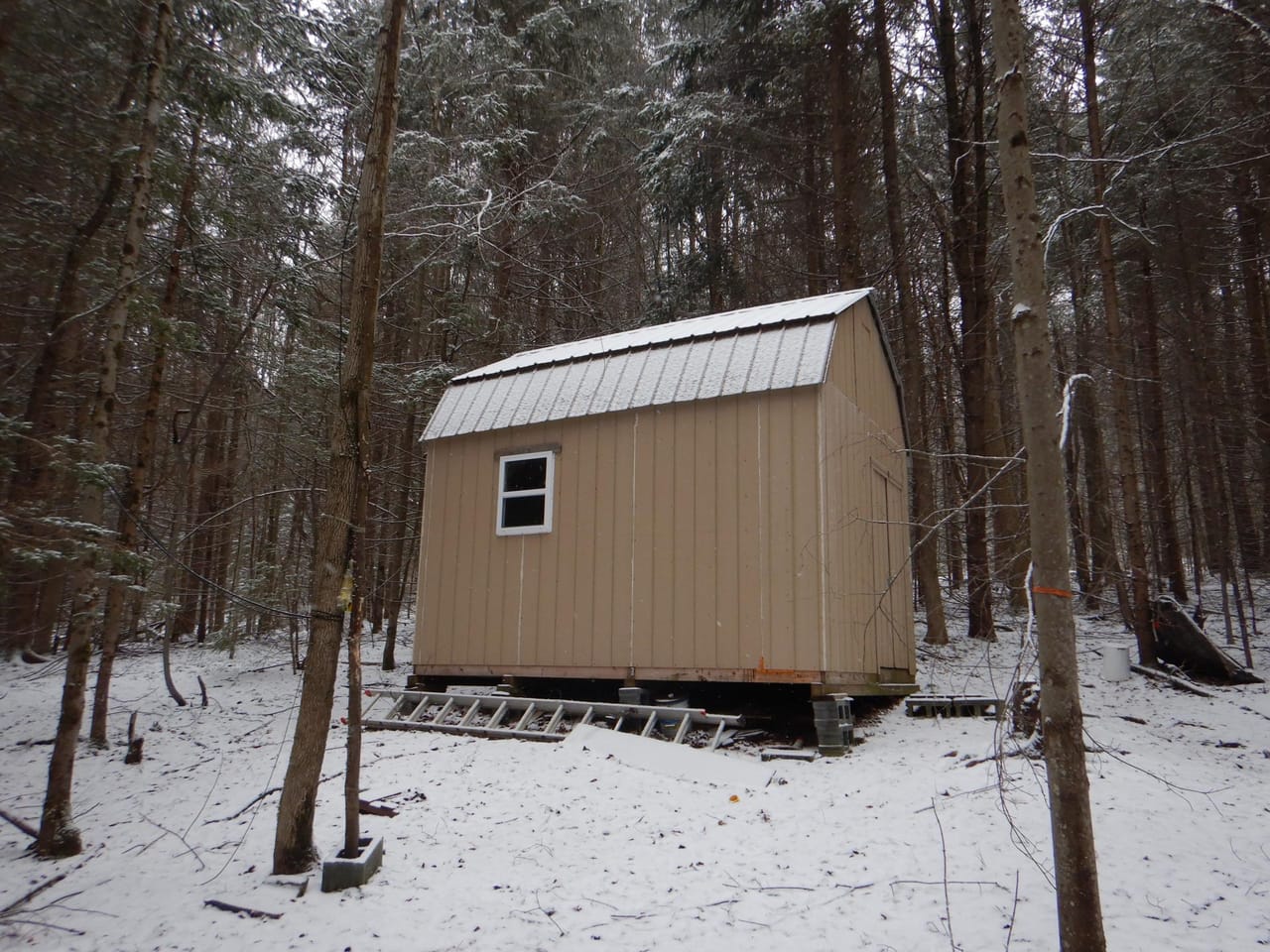 Listing Image 14