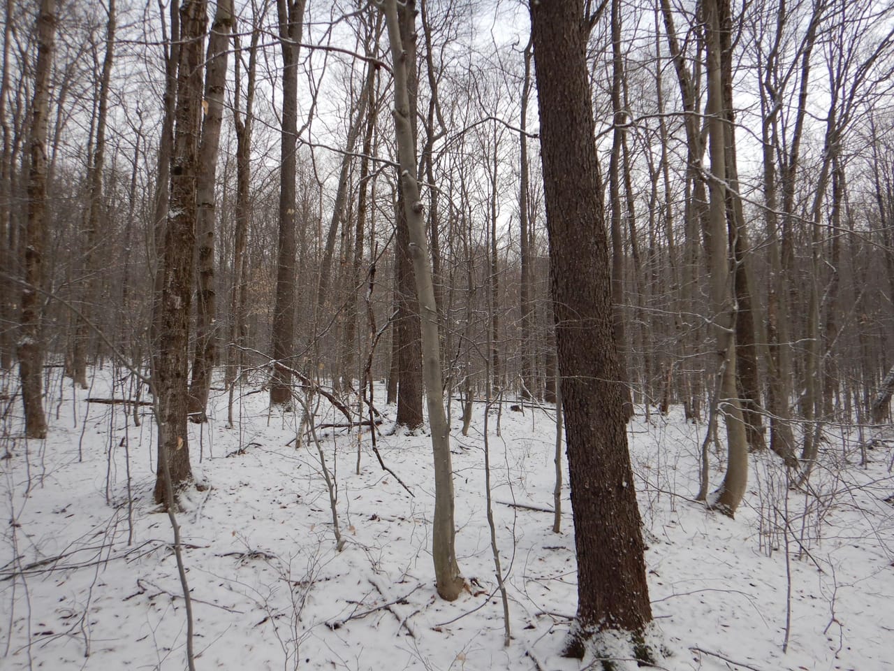 Listing Image 17