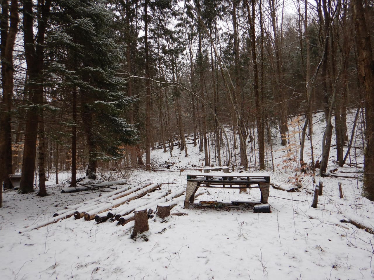 Listing Image 22