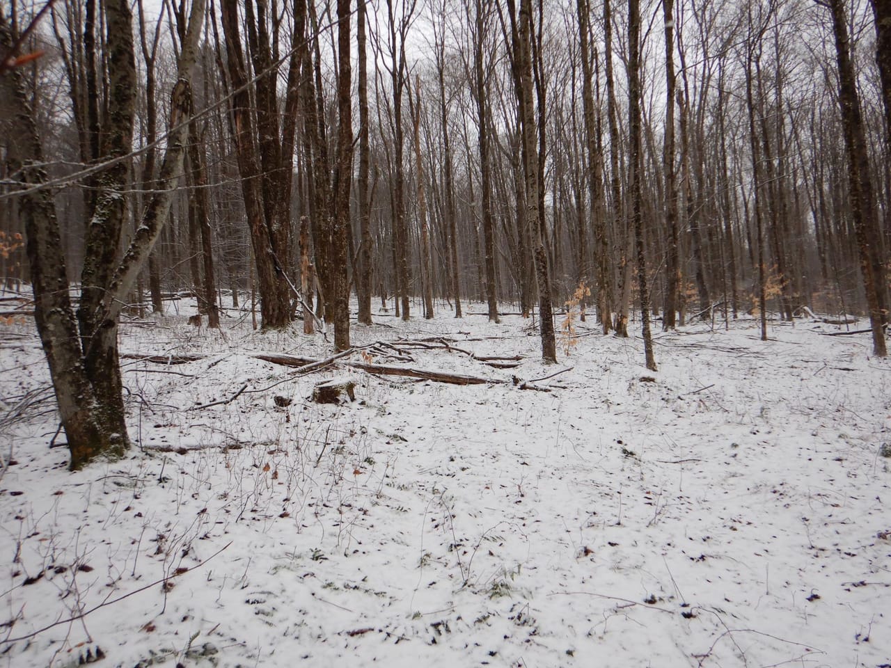 Listing Image 26