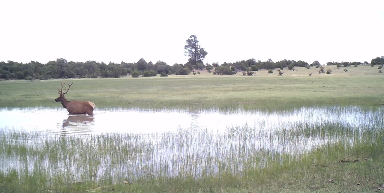 Listing Image 53