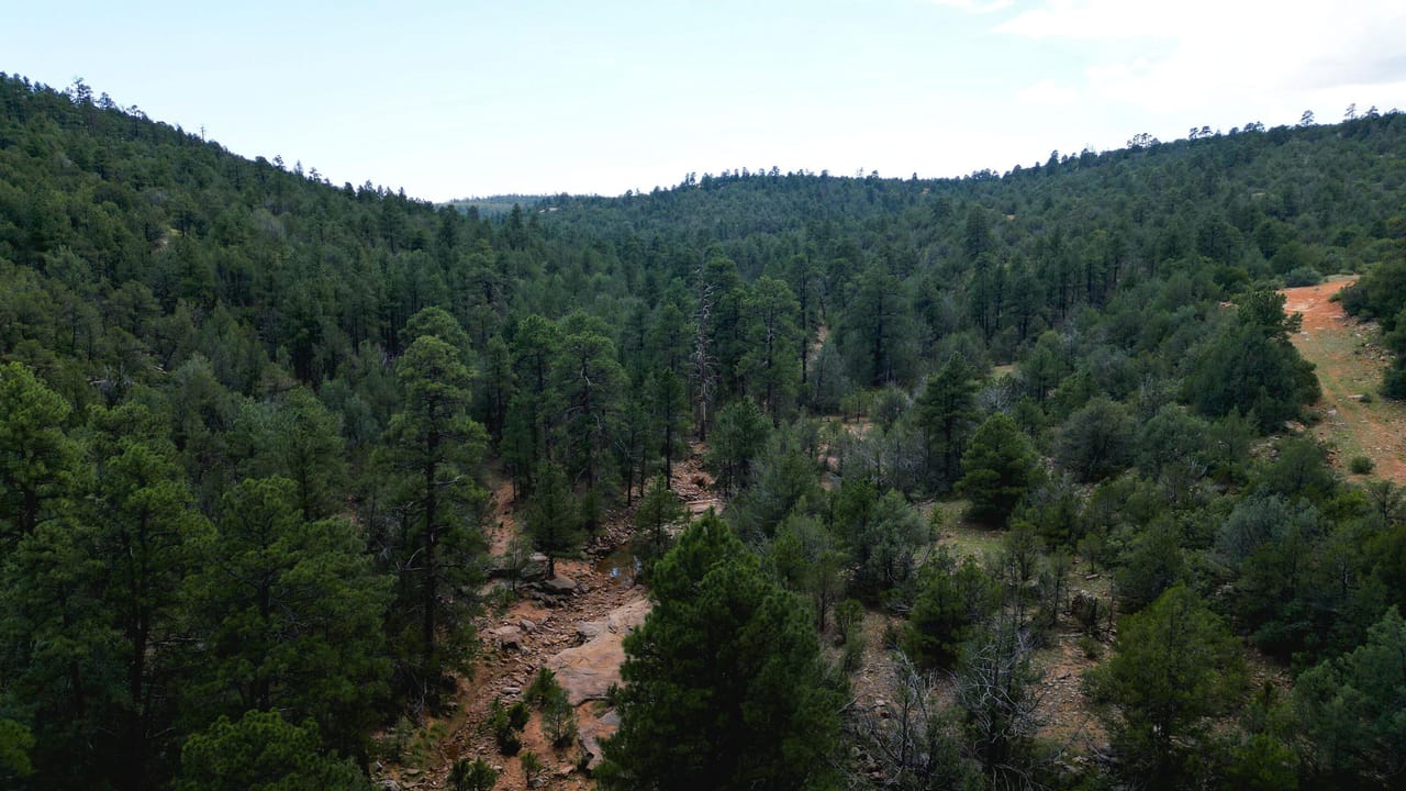 Listing Image 74