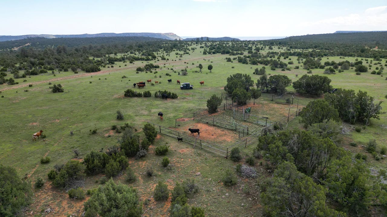 Listing Image 79