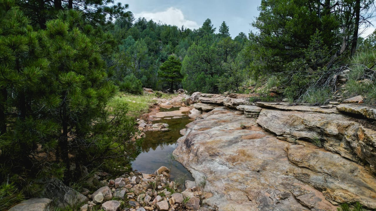 Listing Image 62