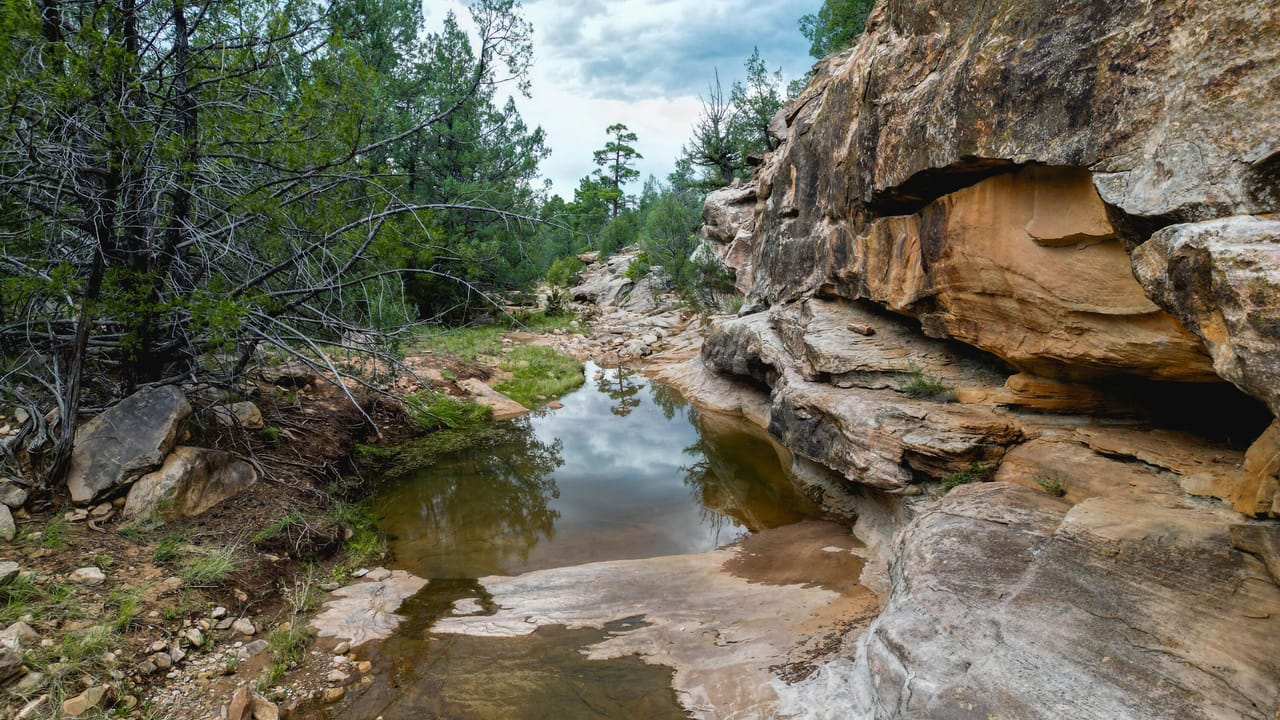 Listing Image 37
