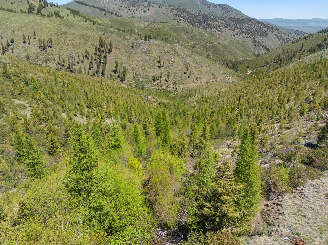 Listing Image 53