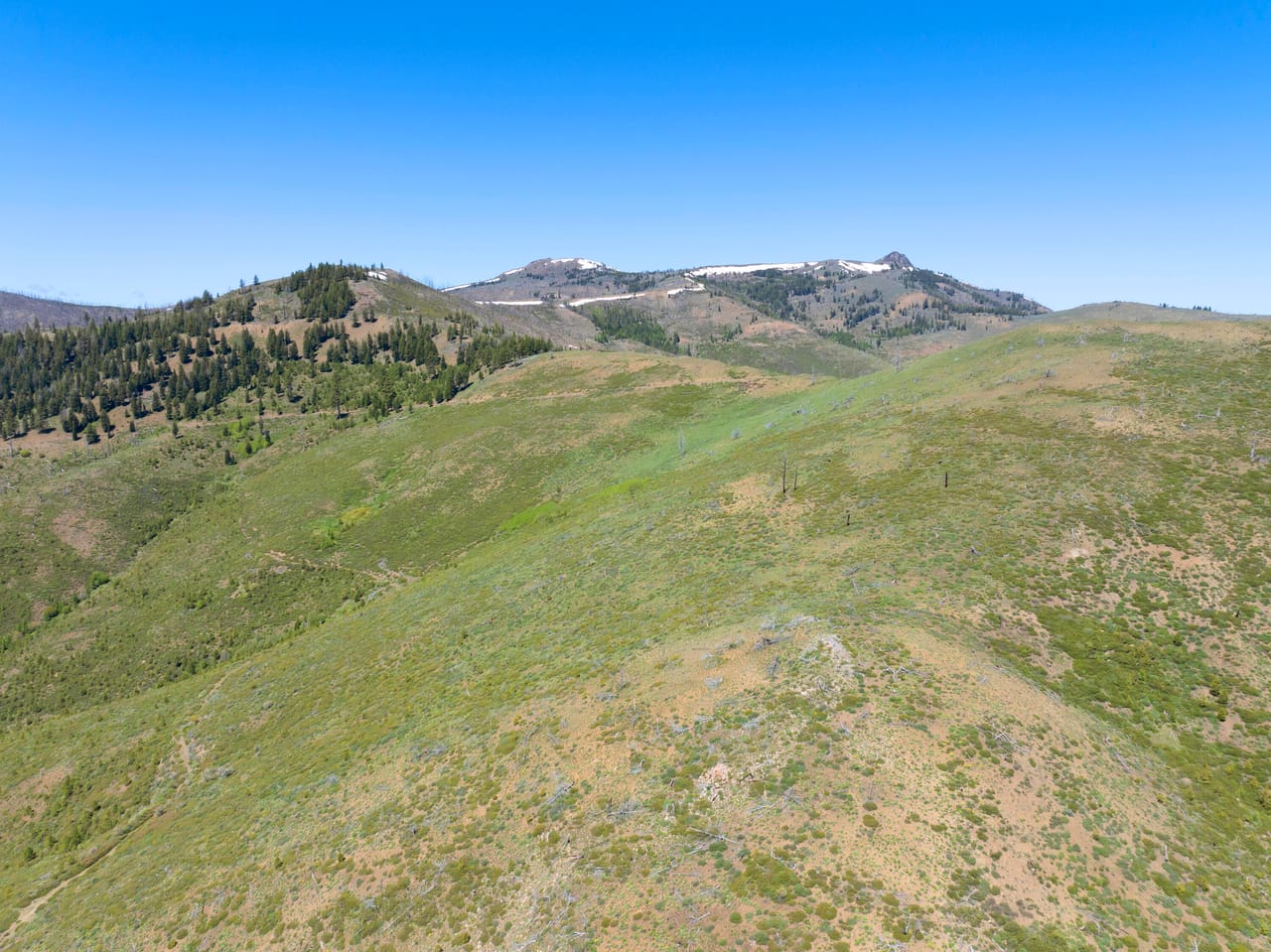 Listing Image 24