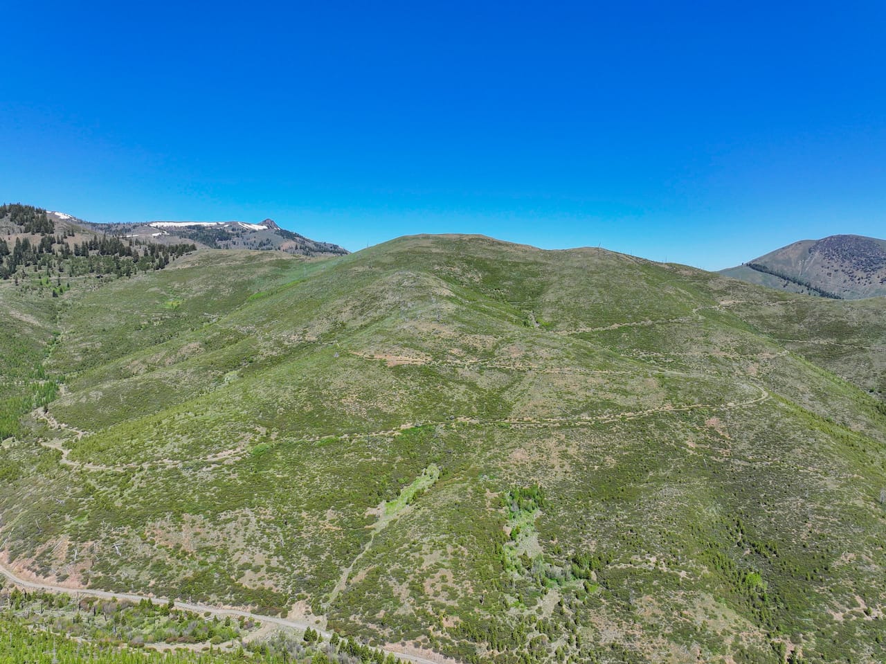 Listing Image 25