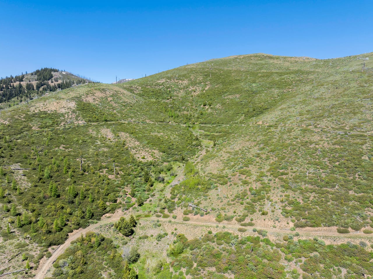 Listing Image 39