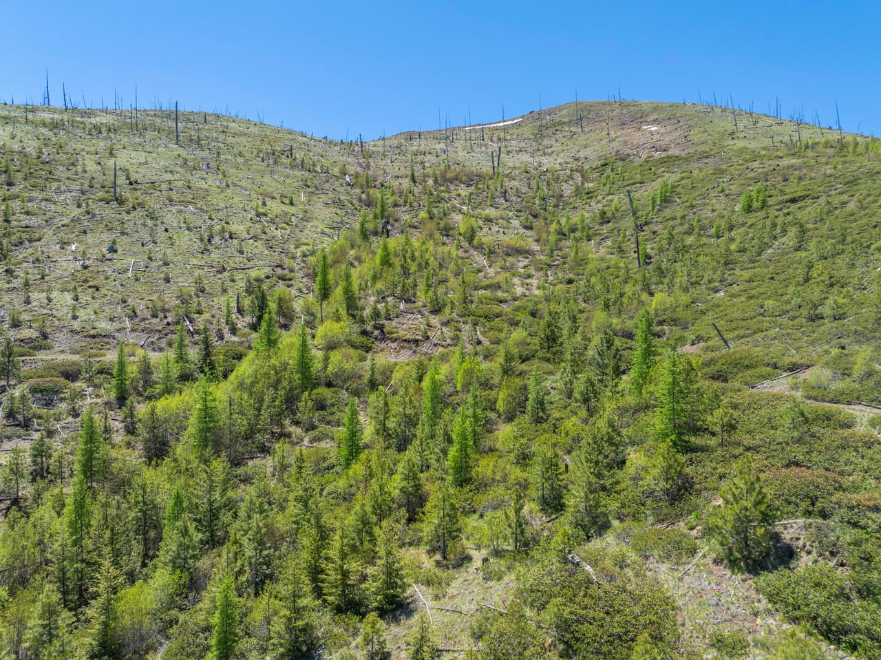 Listing Image 41