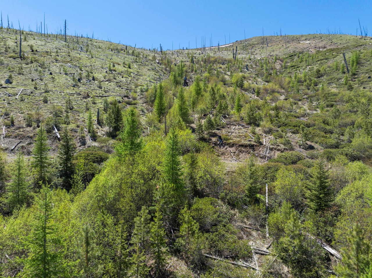 Listing Image 6