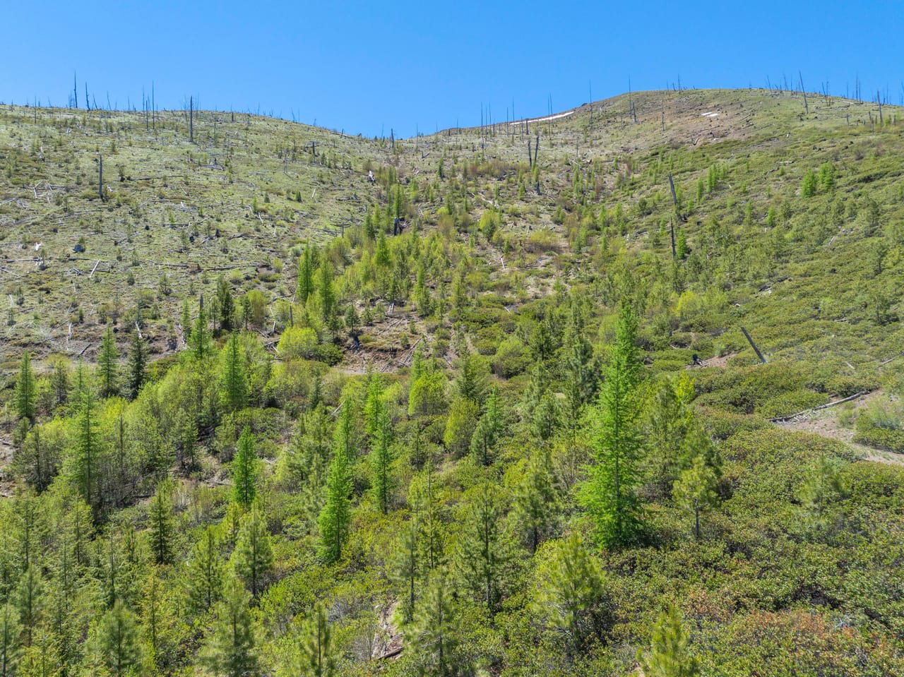 Listing Image 8